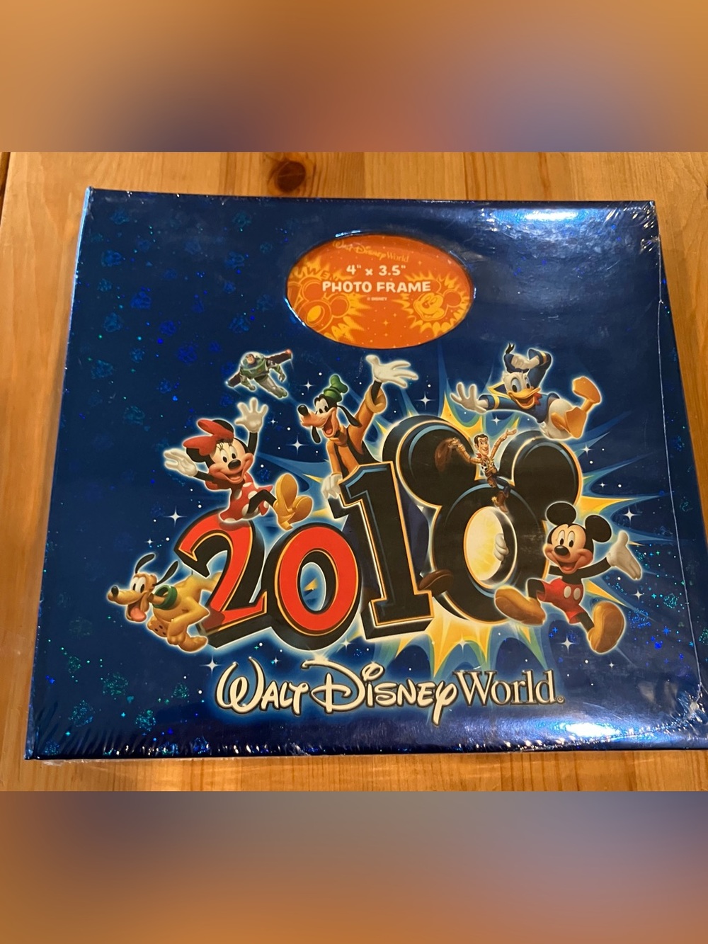 NEW Walt Disney World Exclusive 2010 Photo Frame Album Sealed